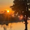 sauraha