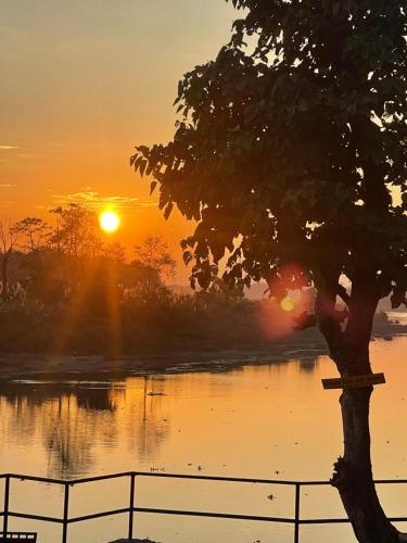 sauraha