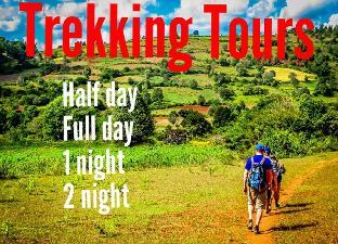 lady princess motel 2