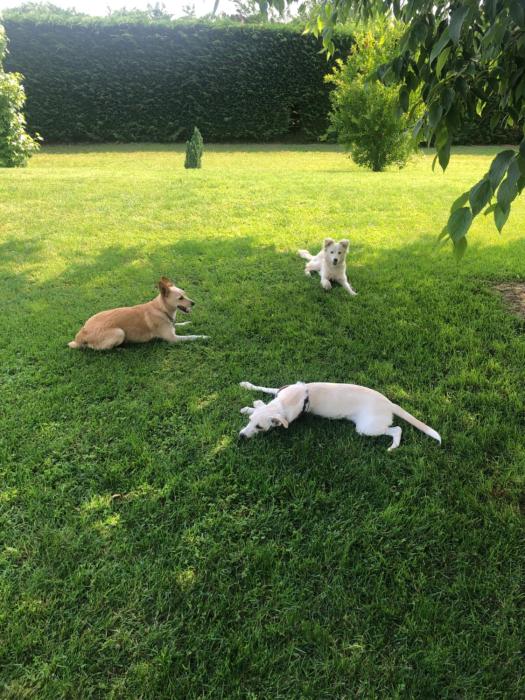 bandb la magia dei sogni