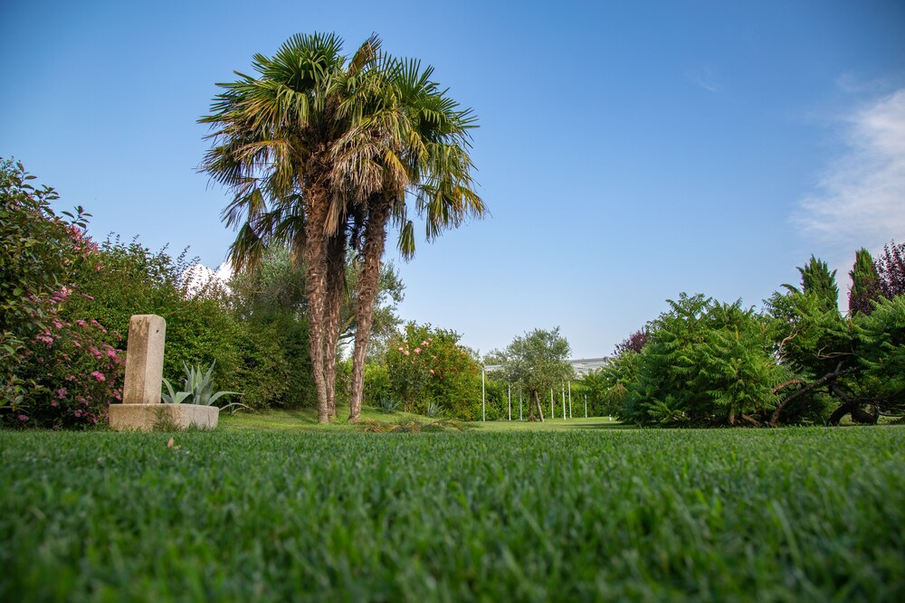 bandb ellera viterbo