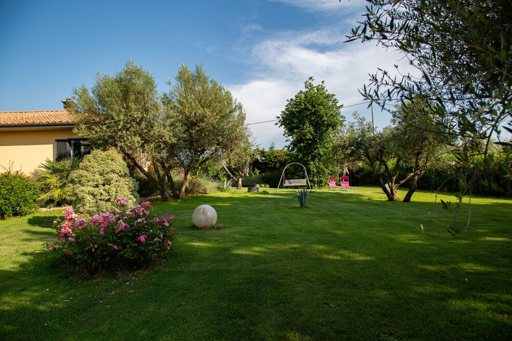 bandb ellera viterbo