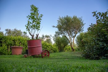 bandb ellera viterbo