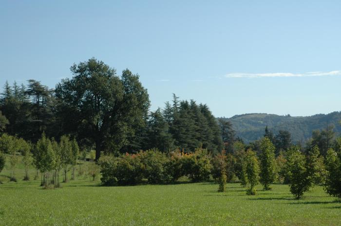 agriturismo rio verde