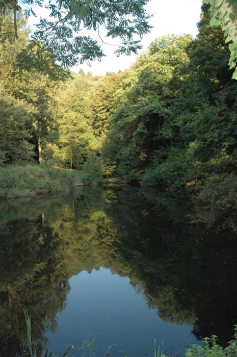 agriturismo rio verde