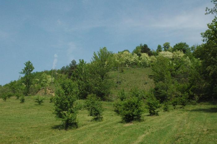 agriturismo rio verde