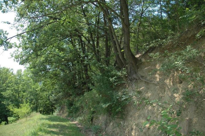 agriturismo rio verde