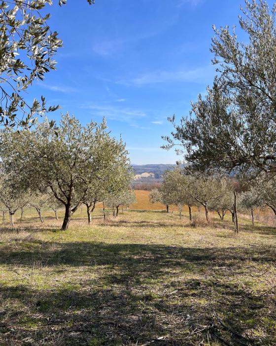 agriturismo rio verde