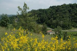 agriturismo rio verde