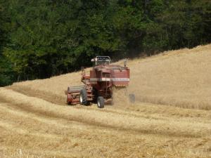 agriturismo rio verde