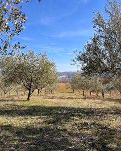 agriturismo rio verde