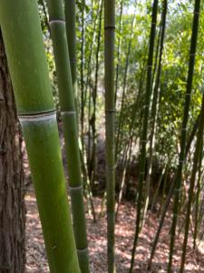 agriturismo rio verde