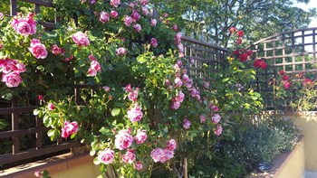 bed and breakfast la valle