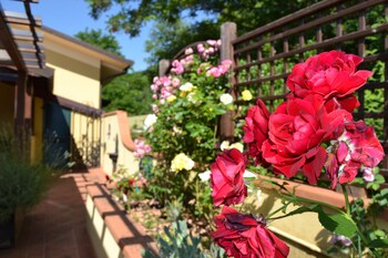 bed and breakfast la valle