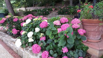 bed and breakfast la valle