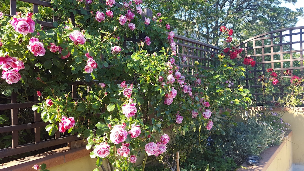 bed and breakfast la valle