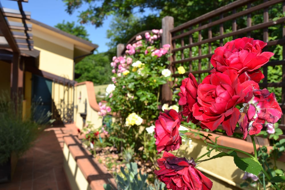 bed and breakfast la valle