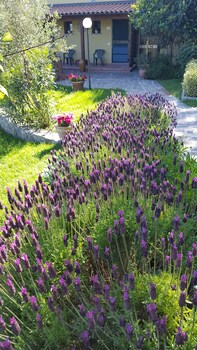 bed and breakfast la valle