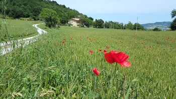bed and breakfast la valle