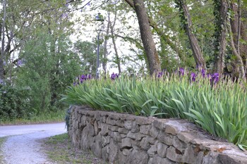 bed and breakfast la valle