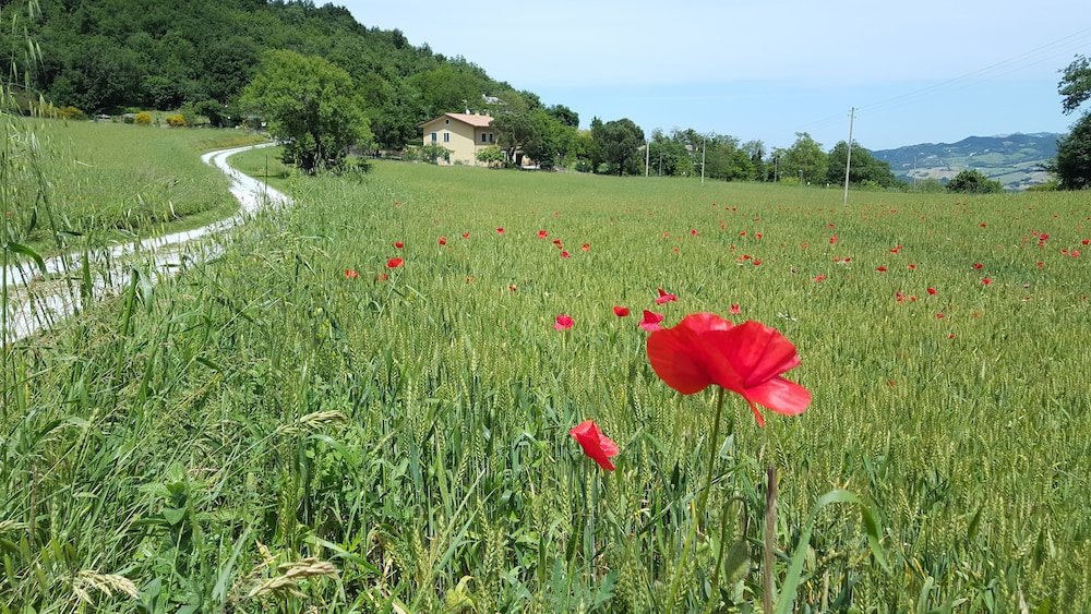 bed and breakfast la valle