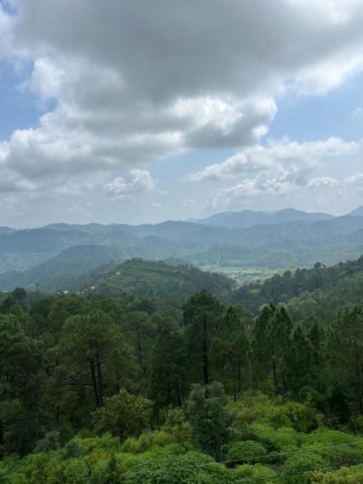 green valley