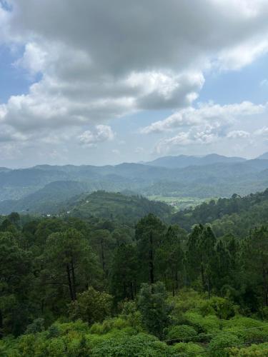 green valley