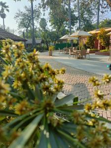 pandu pokhar eco adventure resort