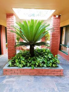 pandu pokhar eco adventure resort