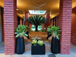 pandu pokhar eco adventure resort