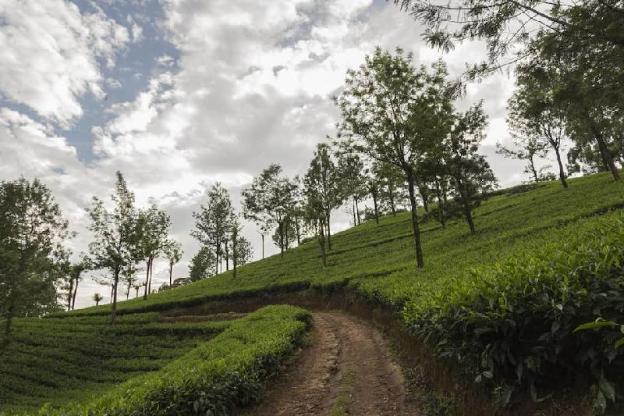 mount valley resort a secluded getaway