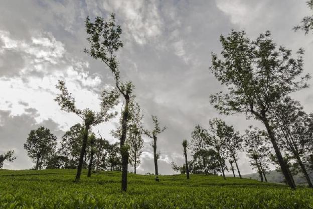 mount valley resort a secluded getaway