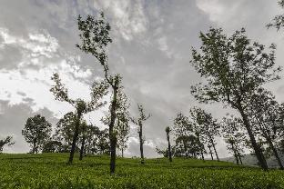 mount valley resort a secluded getaway