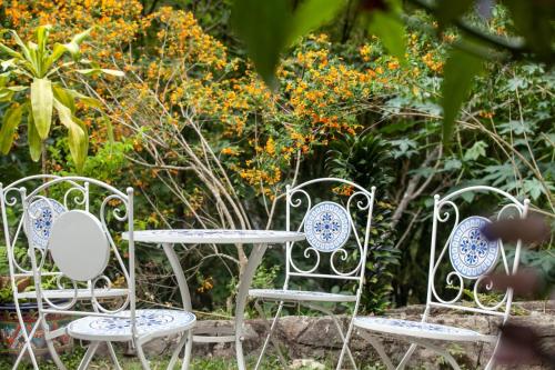 colores de la sierra