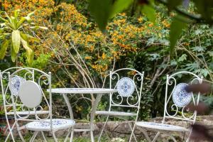 colores de la sierra