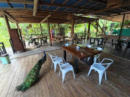 colores de la sierra