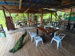 colores de la sierra