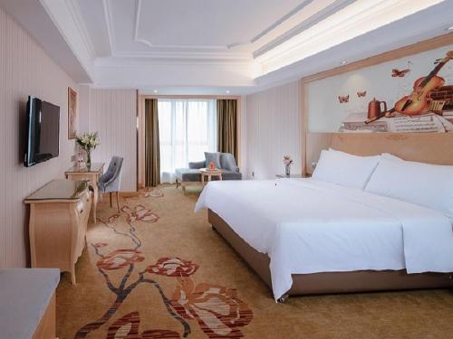vienna classic hotel anhui tongcheng