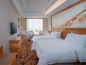 vienna classic hotel anhui tongcheng