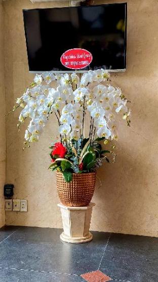 duc vuong saigon hotel cao thang