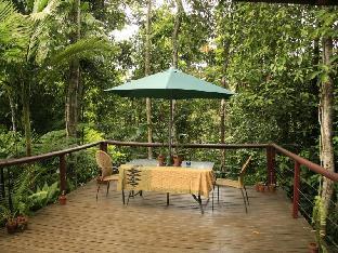tropical bliss bed and breakfast