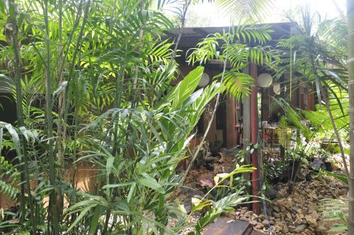 tropical bliss bed and breakfast