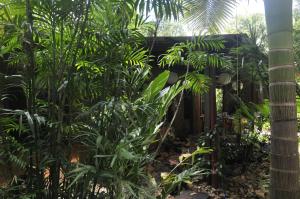 tropical bliss bed and breakfast