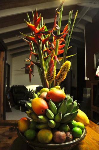 tropical bliss bed and breakfast