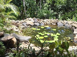 tropical bliss bed and breakfast