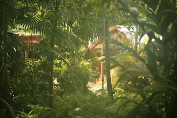 Tropical Bliss Bed And Breakfast,,5 star