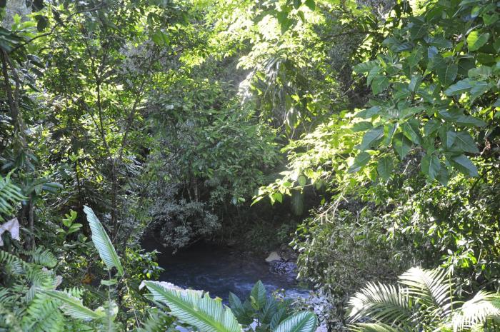 tropical bliss bed and breakfast
