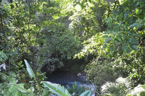 tropical bliss bed and breakfast