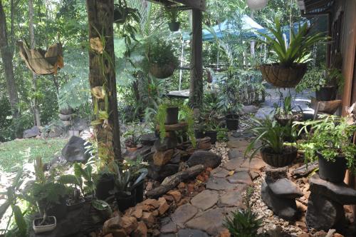 tropical bliss bed and breakfast
