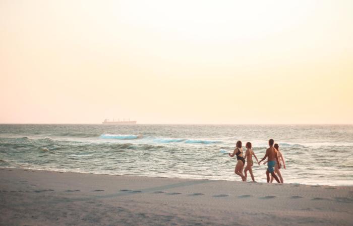 club monet beachfront resort by cocotel fully vaccinated staff